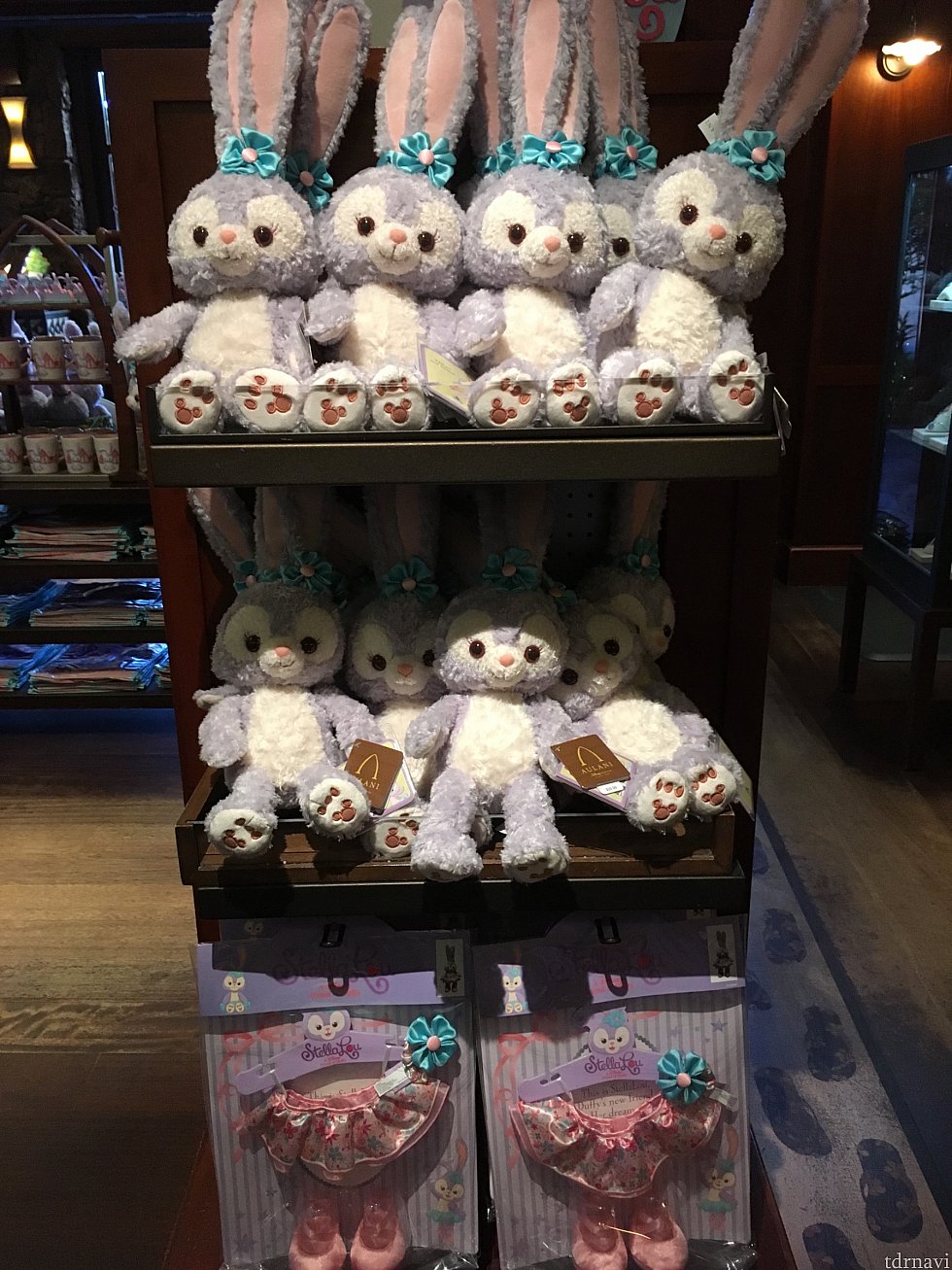 ルーちゃんコーナー