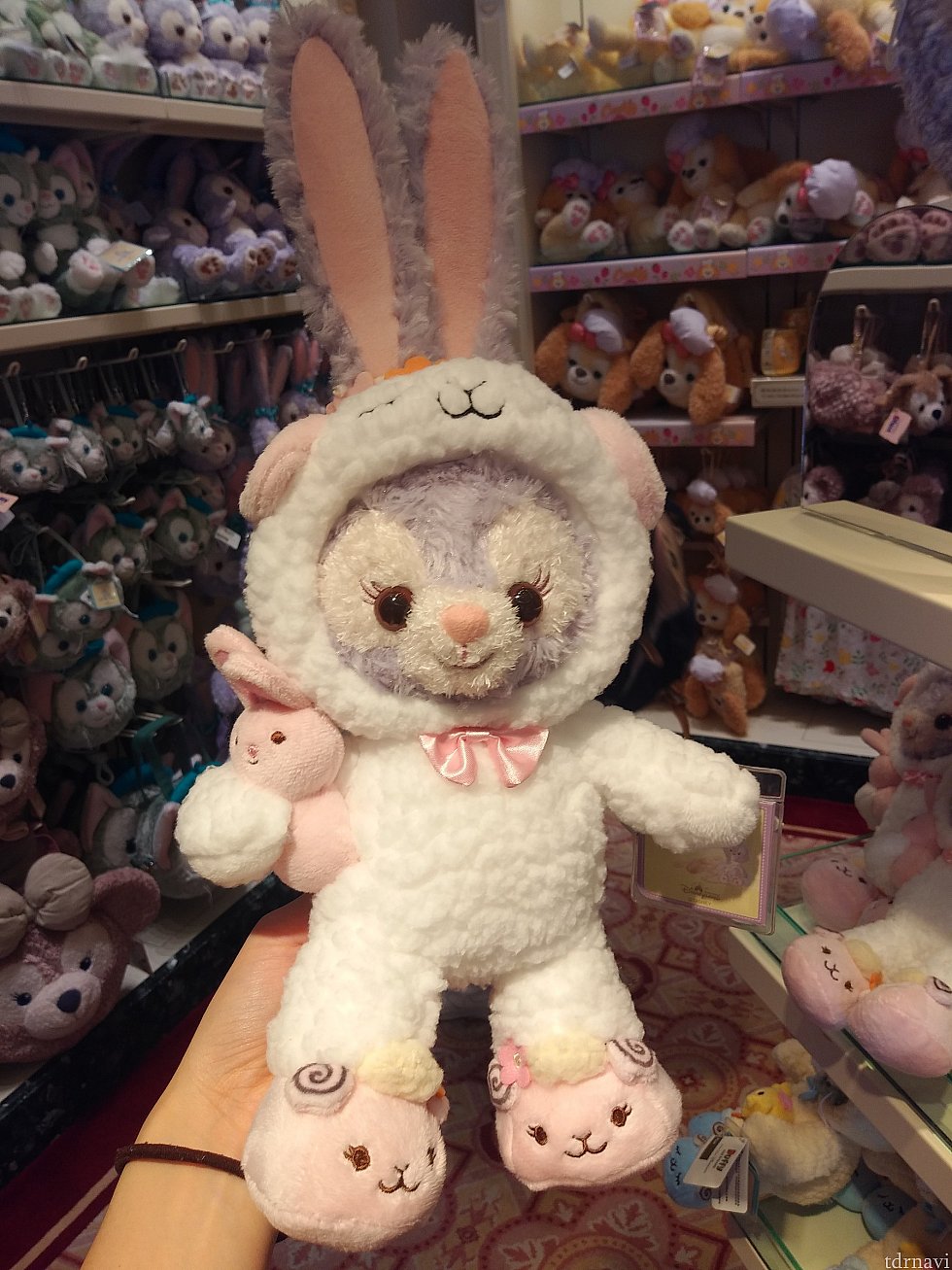 ルーちゃんも羊を着てます!ウサギ着てるように見えますが🤣ルーちゃんが特にかわいかったです❤️