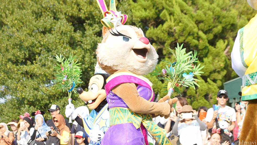 クラリス嬢😍