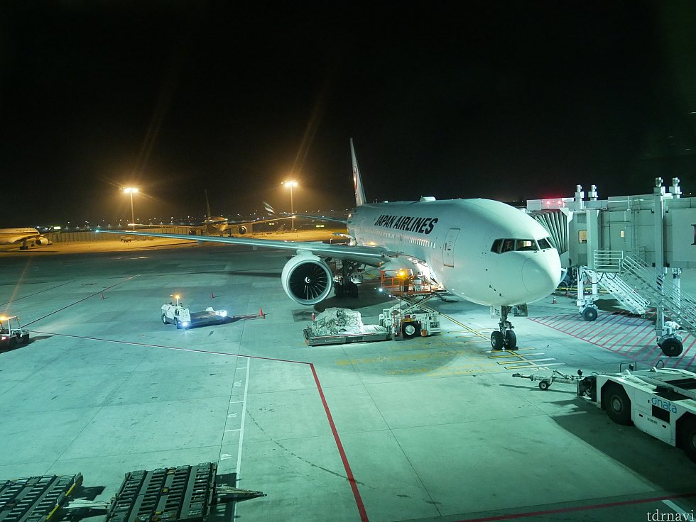 帰りは1:50出発のJAL38便。
飛行機では喉が乾くので、離陸後に水が配られるまでは起きてなきゃ!と思ってましたが、なんと離陸前に水を配ってくれました!なので、離陸する頃にはもう寝てました😌