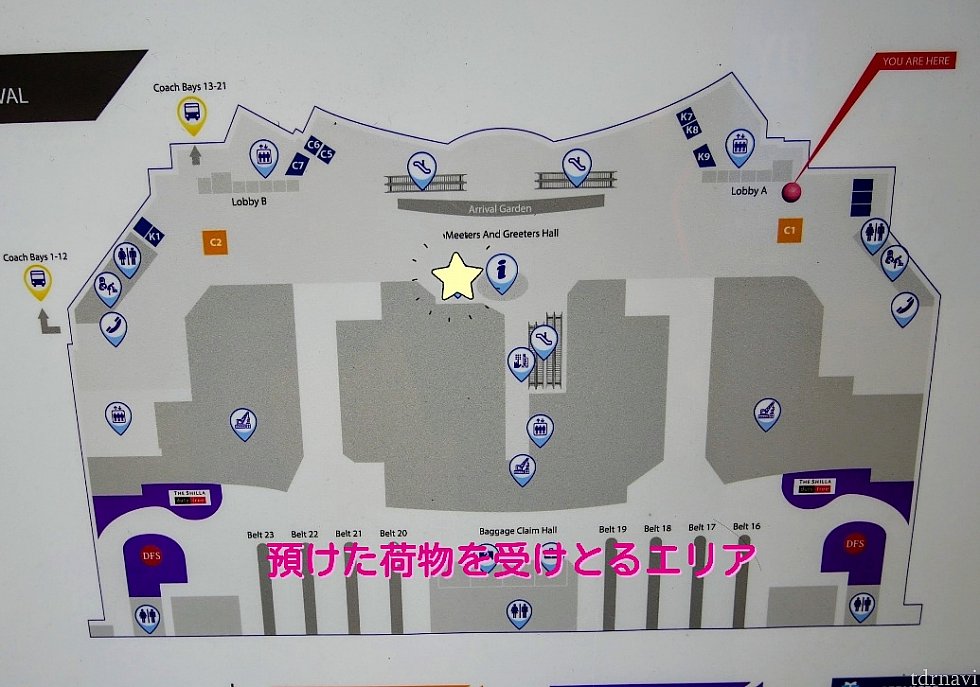 【チャンギ国際空港】
ターミナル1に到着。
両替所は24時間開いてます。荷物を受け取って出口から出て、☆マークの所に2社が隣り合わせにありました。誰も並んでない方で両替しました。
2社のレートは若干違いましたが、2万円両替しても1SGD(約80円)も違わなそうだったので、列の短い方に並べばいい気がします😅