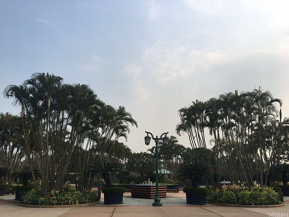 温暖な気候にこの景色。リゾート感あります🌴