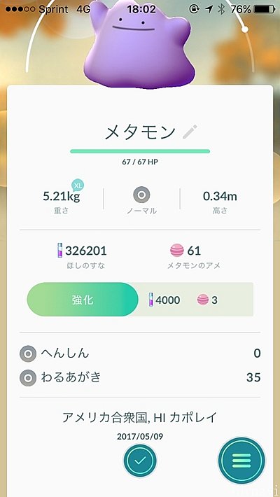 メタモンがバケてたポッポもいた(笑)