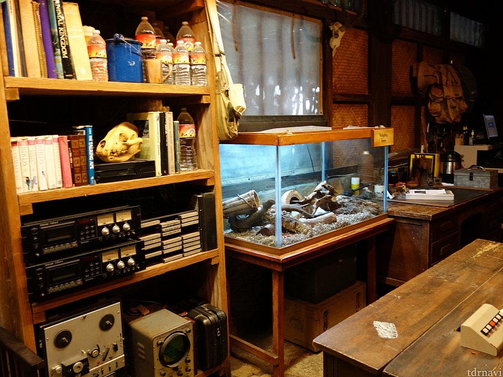 小屋に入ると研究室になっていて爬虫類などが展示されています