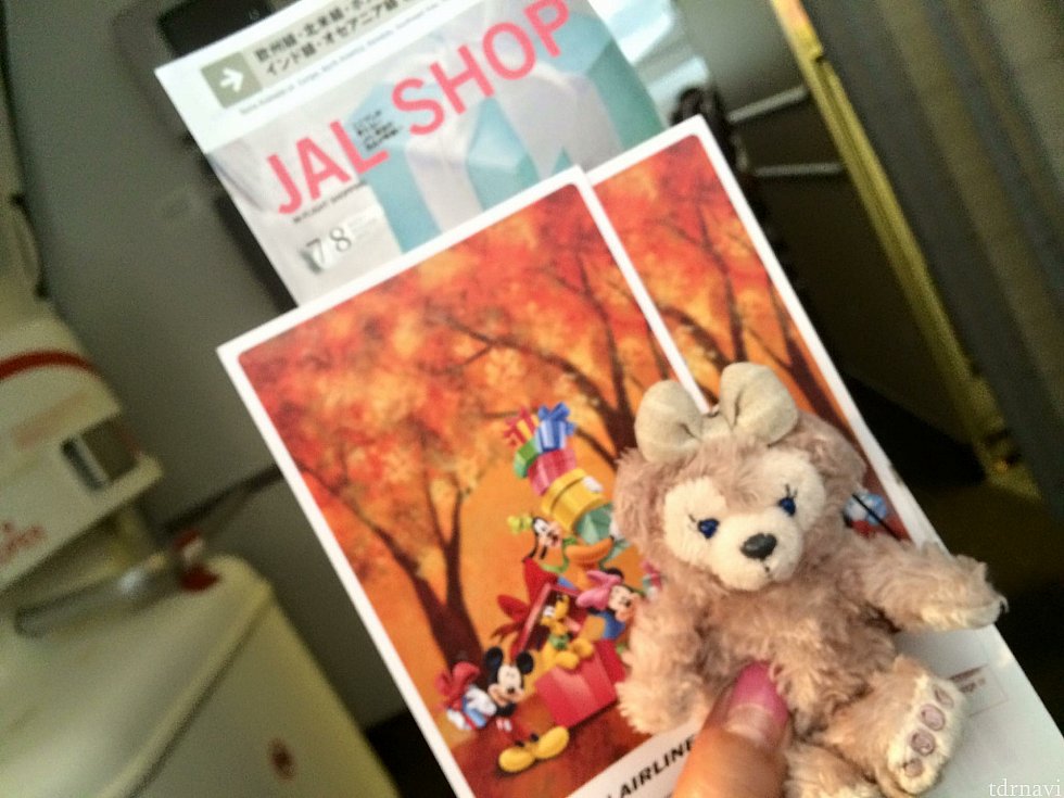 葉書貰いました(^o^)