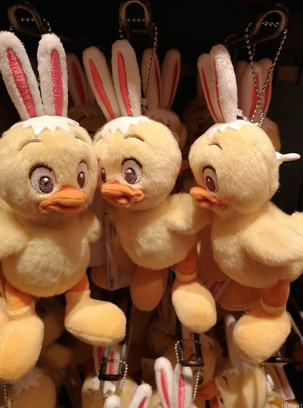 ぬいぐるみバッジ、1,500円です。この子たちは直毛でなでるとスベスベする感じです!
