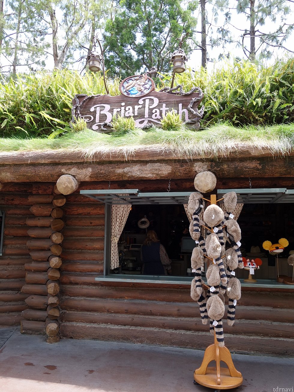 スプラッシュのお隣には「ブレア・パッチ」というファンキャップ専門店があります。