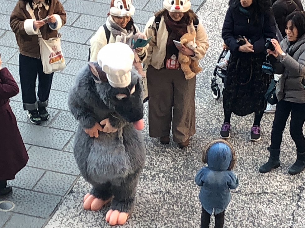 レミーのグリーティング♪
上から見ててもキュートでした。