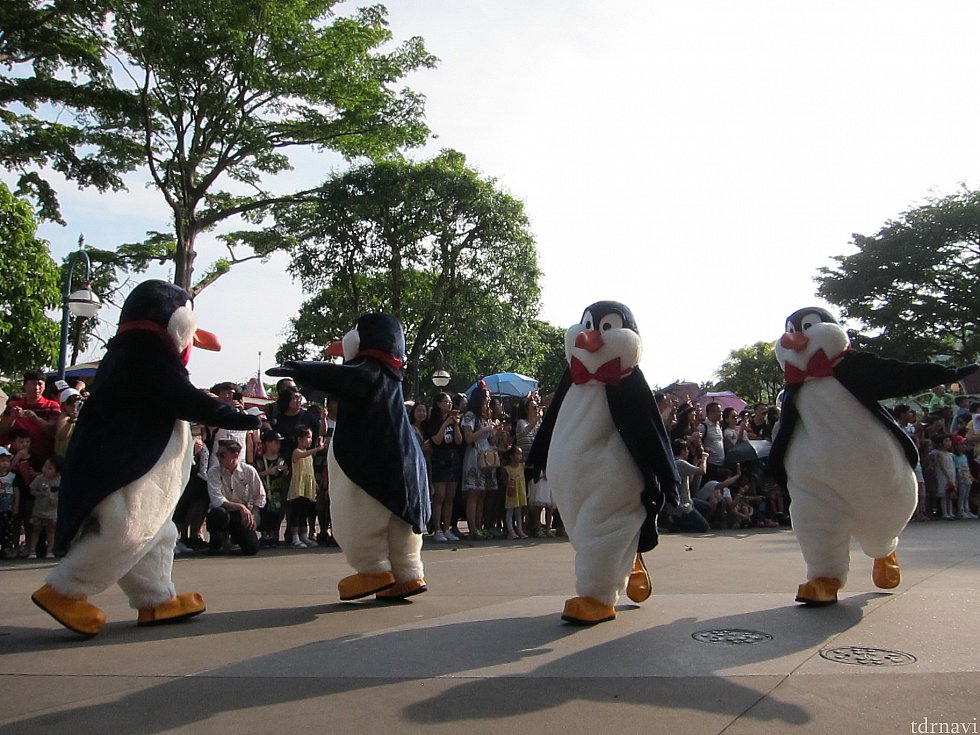 ペンギン・ウェイター。
