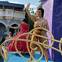 映画キャラクター勢揃い！マジックキングダムの夕方限定ミニパレード