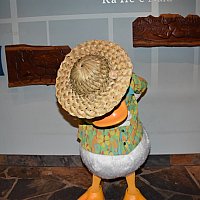 マカヒキ アウラニ ハワイ のクチコミ 感想