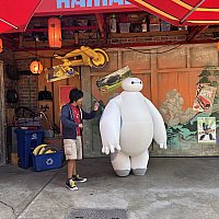 アナハイムディズニー　ベイマックス ぬいぐるみ　サンフランソウキョウ アナハイムディズニー ベイマックス ぬいぐるみ サンフランソウ