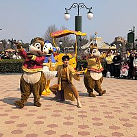 ディズニーショーケース　トラディション　ドナルドウィズチップ&デール 0e040faa0de45bb55ac3a8bc736262
