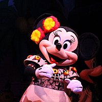 116318eba8fc62e0941c036afb404d