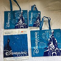 Dlpのお土産袋が有料化 パリ