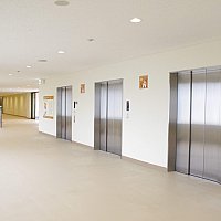 Tdl新立体駐車場 果たして便利になったのか