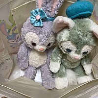 上海ディズニーランド限定 ショッピングバッグ S・M・Lサイズ 3