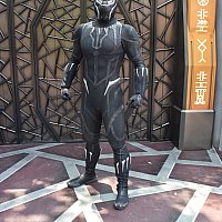 ブラックパンサー（香港ディズニー限定） 16b0577584f3afb9310240c861e229
