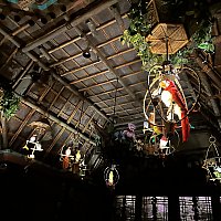 ディズニーパーク チキルーム 傘 ディズニーパーク チキルーム 傘
