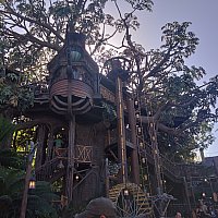 アドベンチャーランド・ツリーハウス | ディズニーランド（アナハイム