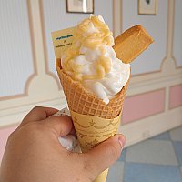 タヌキ♡カワウソのアイスクリーム二点 きめ細か