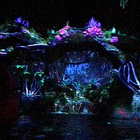 ディズニーワールド ワールドオブアバター トルーク 頭蓋骨 ディズニー