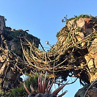 WDW】アバター・フライト・オブ・パッセージ | アニマル WDW】アバター・フライト・オブ・パッセージ | アニマル