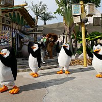 ペンギンズがかわいくて堪らない ノリノリのショーは必見 マダガスカル ブーギー シンガポール
