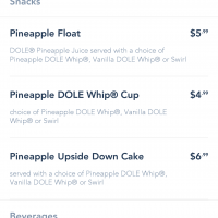 Wdw アロハ アイル マジックキングダム フロリダ のクチコミ 感想