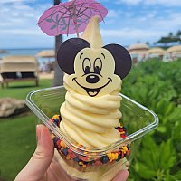 お値段は約1,200円！高いけどハワイ&アウラニ気分を満喫できるミッキー