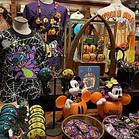 347de3b6abda42dee86d3a584e9c3e  