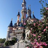 城の地下にいるマレフィセントのドラゴンはド迫力！ 眠れる森の