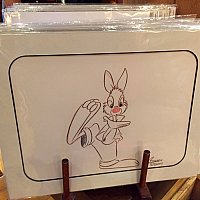 Wdw スプラッシュマウンテン グッズ特集 フロリダ