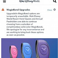 Wdw マジックバンド ウォルト ディズニー ワールド フロリダ のクチコミ 感想