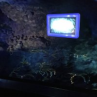 値下げ中 wdwスペース・マウンテン トレーナ 値下げ中 wdwスペース・マウンテン トレーナ