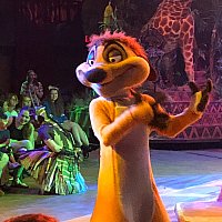 WDW】フェスティバル・オブ・ザ・ライオン・キング | アニマル