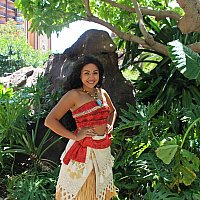 4392eb83433405efee228a536af902