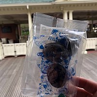 ガイドツアー 東京ディズニーリゾートのクチコミ 感想