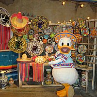 ドナルドに確実に会える、ドナルド好きには最高のグリ施設