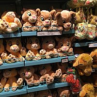 アニマルキングダム パーク限定商品やライオンキンググッズが盛りだくさん フロリダ