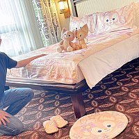 香港ディズニー　リーナベル　寝具 楽天市場】香港ディズニー 2022 リーナベル・ピローケース（枕