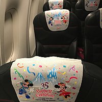 JAL特別塗装機 セレブレーションエクスプレス