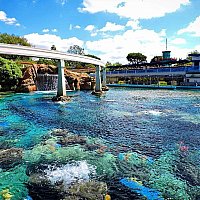 歴史のあるアトラクション | ファインディング・ニモ・サブマリン