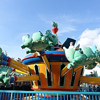 WDW スティッチ ドリンクボトル アニマルキングダム ディズニー