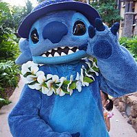 ペア、ダッフィー、モアナはお早めに | キャラクター・グリーティング