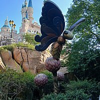 アリス・イン・ワンダーランド・メイズ | 上海ディズニーランドのクチコミ