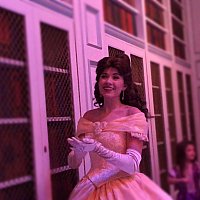 【美品】ベル　エンチャンテッド WDW】エンチャンテッド・テール・ウィズ・ベル | マジック