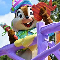 TDL】ヒッピティ・ホッピティ・スプリングタイム 2014 | 東京