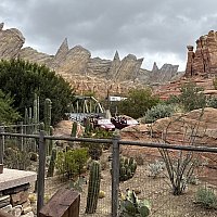 ラジエーター・スプリングス・レーサー | カリフォルニア