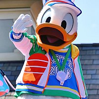 TDL】ヒッピティ・ホッピティ・スプリングタイム 2016 | 東京